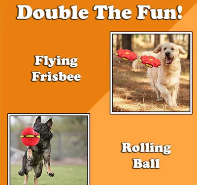 FurryFlyer™ - De disc bal voor honden (50% KORTING)