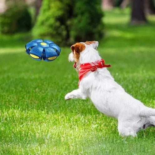 FurryFlyer™ - De disc bal voor honden (50% KORTING)
